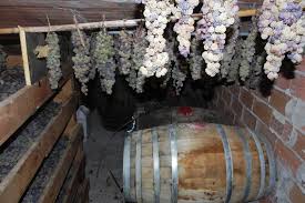 Vin Santo making